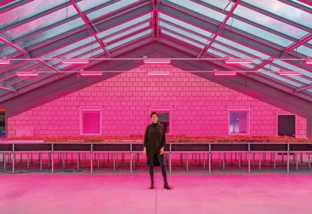 Vrouw poseert in bedrijfshal die roze verlicht is door tl-balken die boven tafels hangen waar plantjes op staan.