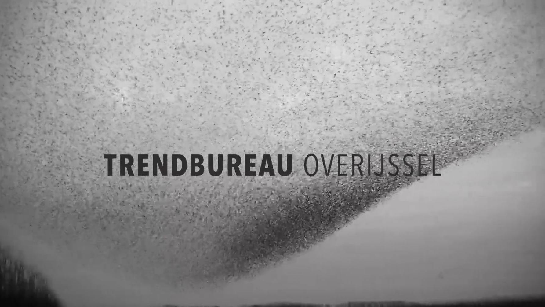 Zwart-wit beeld van een grote zwerm spreeuwen in de lucht, met de tekst 'Trendbureau Overijssel' in beeld.