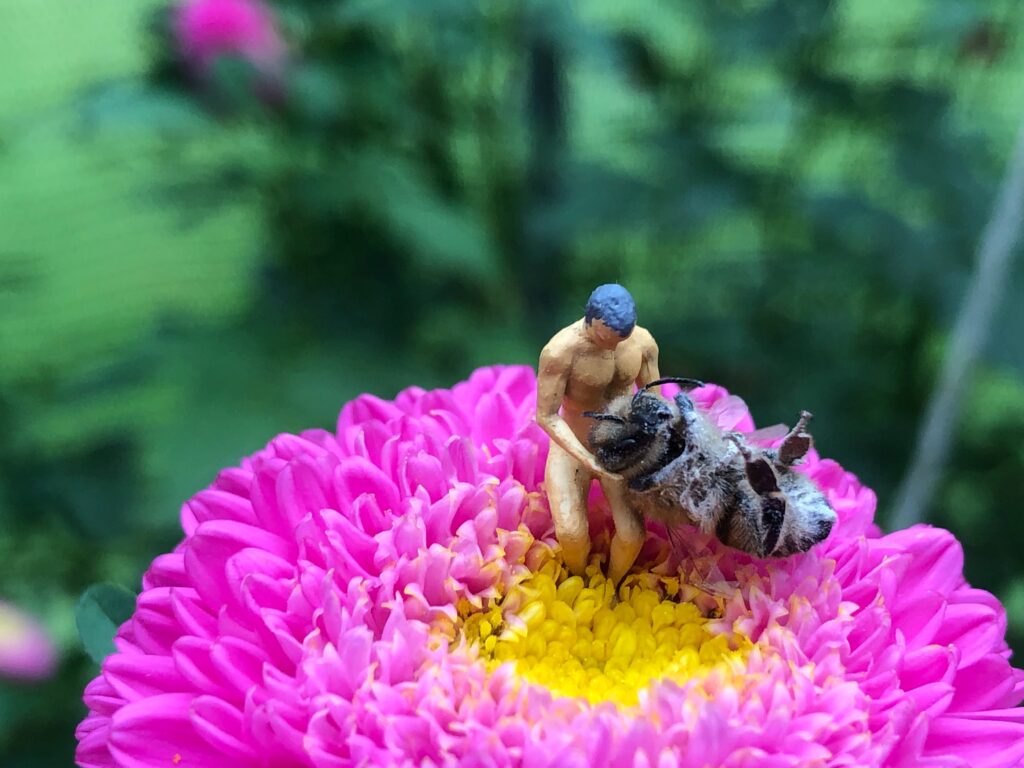 Miniatuur houdt een bij vast, hurkend op een paarse bloem